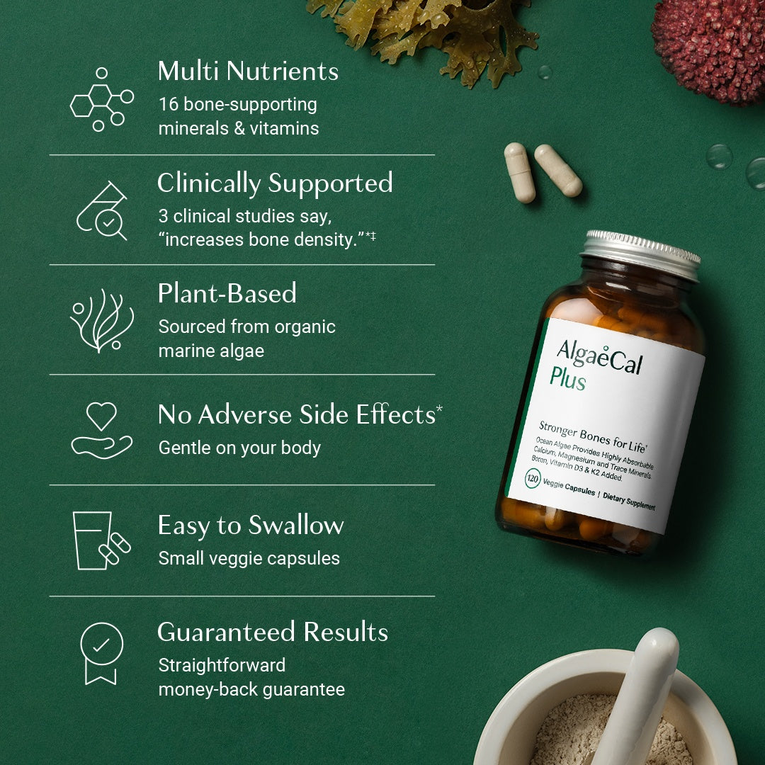ALGAECAL Organic red algae calcium supplement for bone density