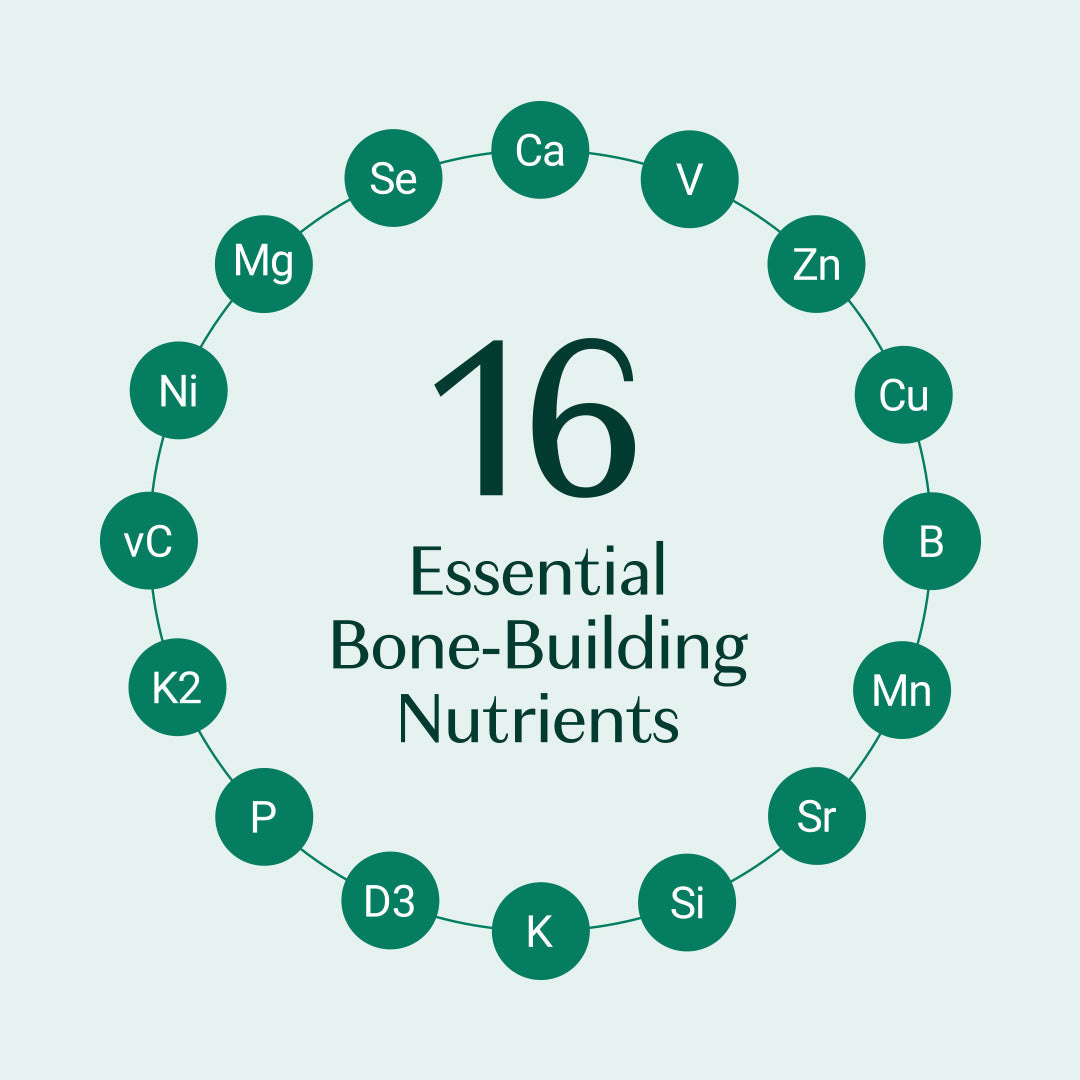 ALGAECAL Organic red algae calcium supplement for bone density